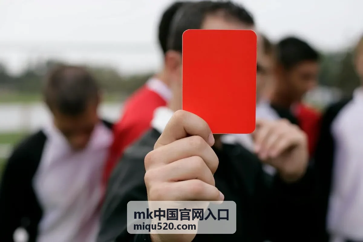MK中国官网入口官方通道与服务范围总览